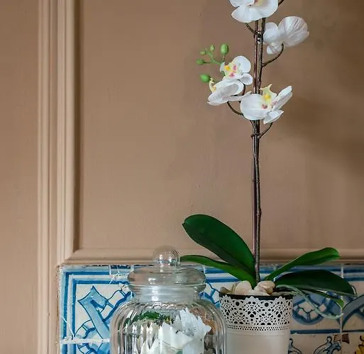 Alojamento de Acomodação e Pequeno-almoço Ph Downtown Lisboa